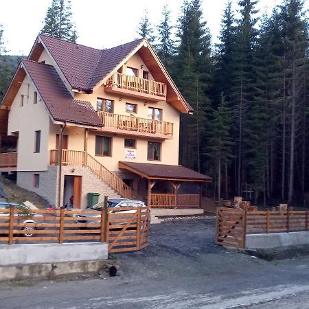 Vidra Parc Hotel Voineasa Buitenkant foto