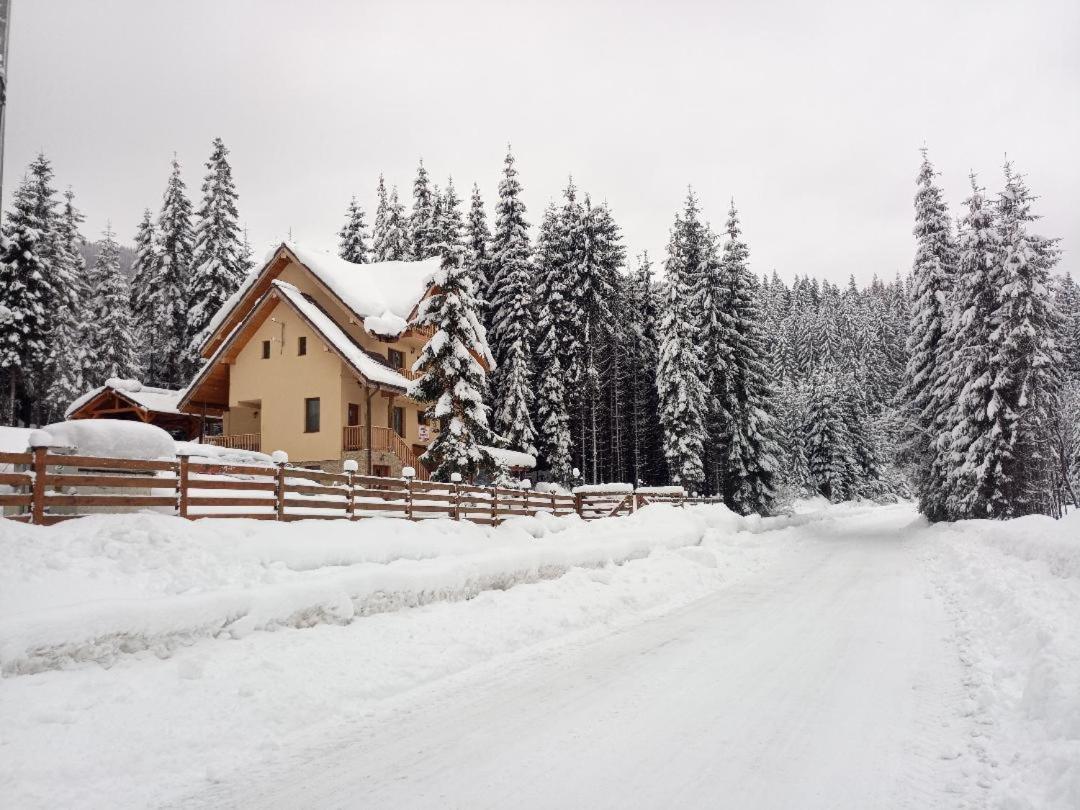 Vidra Parc Hotel Voineasa Buitenkant foto