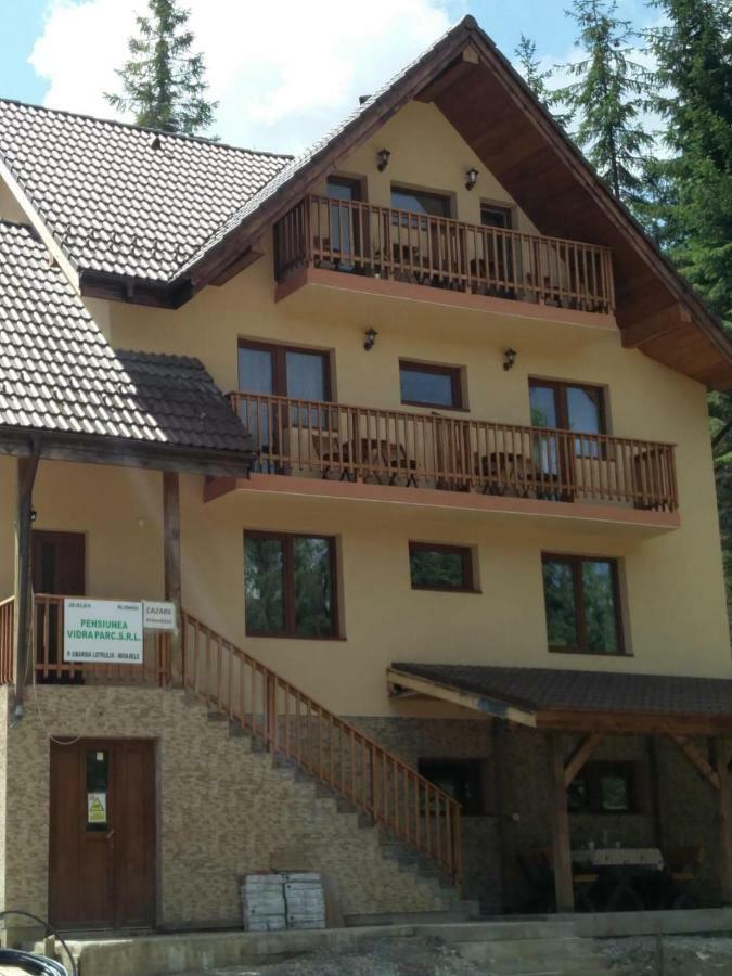 Vidra Parc Hotel Voineasa Buitenkant foto