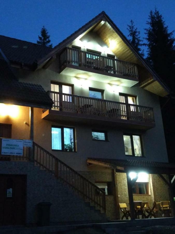 Vidra Parc Hotel Voineasa Buitenkant foto
