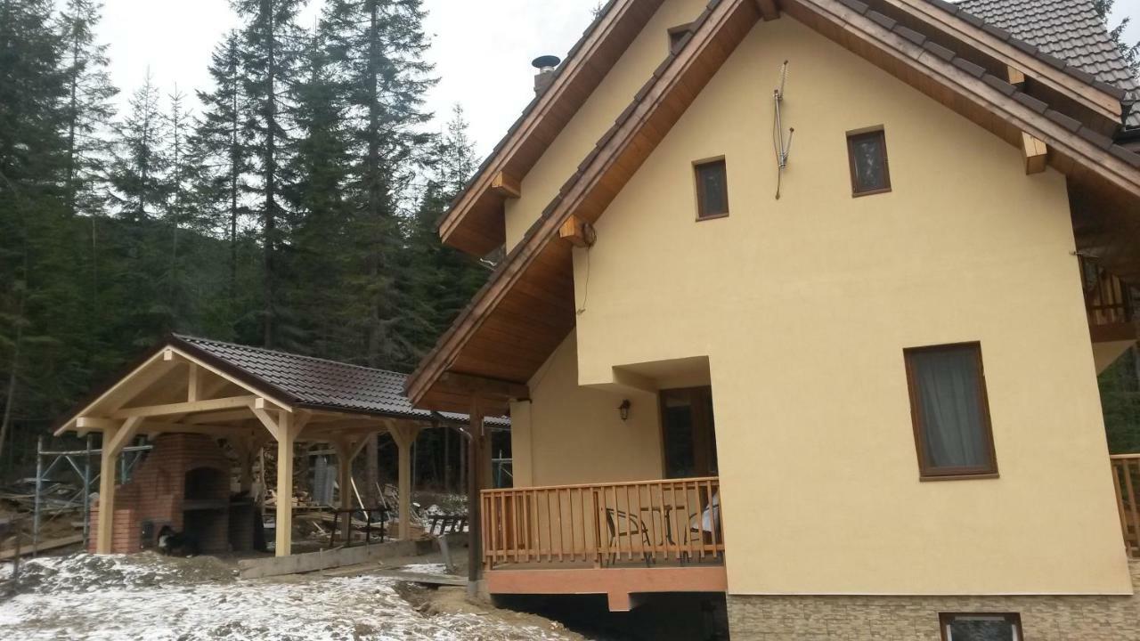 Vidra Parc Hotel Voineasa Buitenkant foto