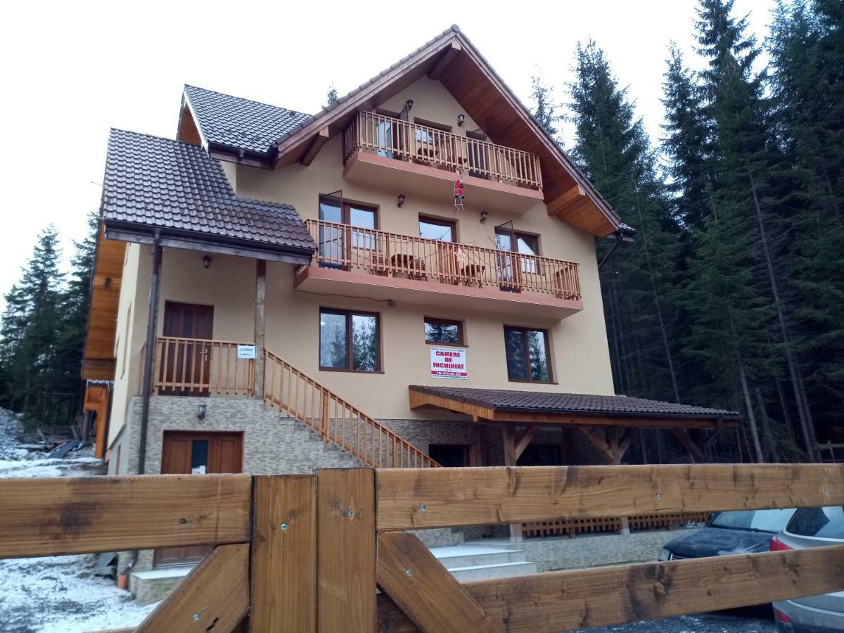 Vidra Parc Hotel Voineasa Buitenkant foto
