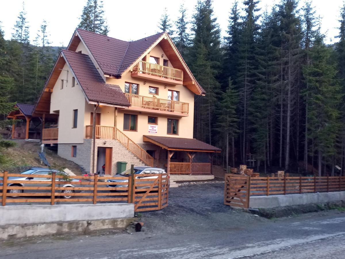 Vidra Parc Hotel Voineasa Buitenkant foto