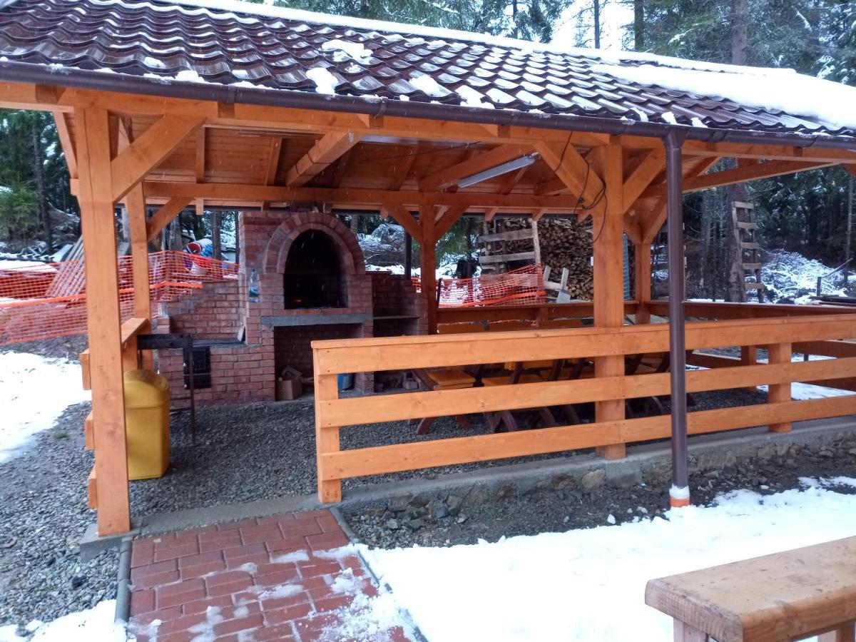 Vidra Parc Hotel Voineasa Buitenkant foto